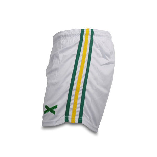 Gaelic Games x Stripe Shorts (Green & Yellow)