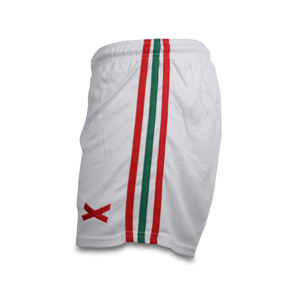 Gaelic Games X Stripe Shorts (Red & Green)