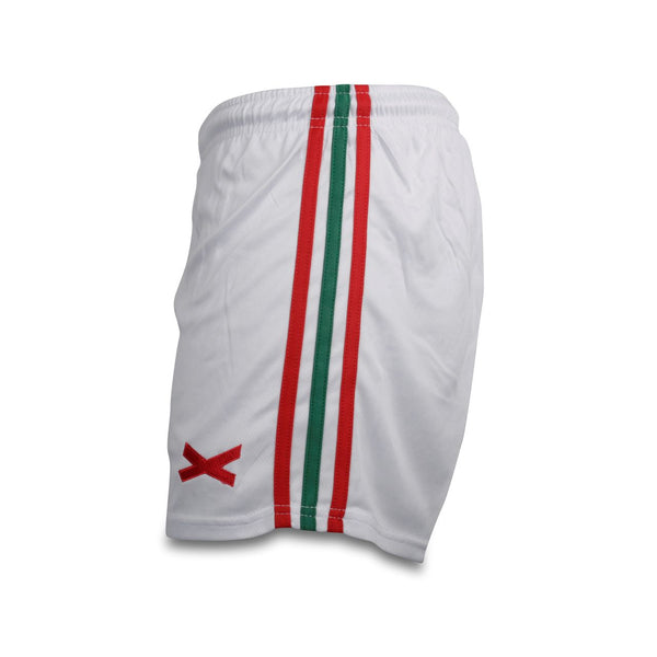 Gaelic Games X Stripe Shorts